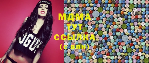 индика Алзамай