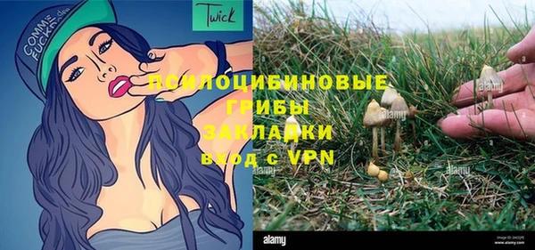 индика Алзамай