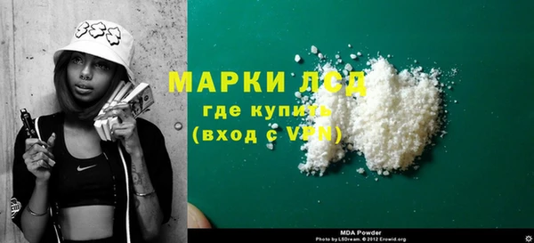 индика Алзамай