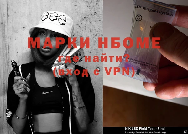 индика Алзамай