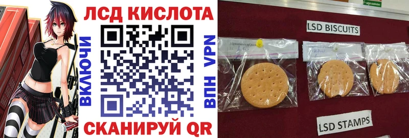 мега онион  купить наркотик  Полысаево  Марки 25I-NBOMe 1,8мг 