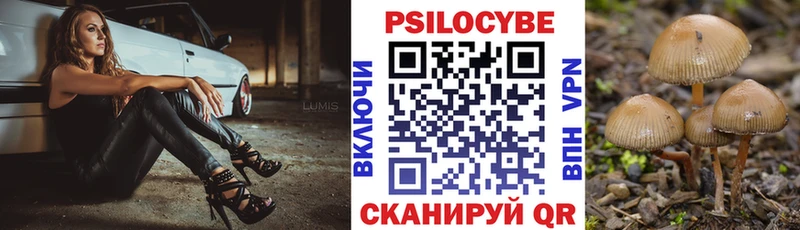 гидра зеркало  купить наркотики сайты  Полысаево  Псилоцибиновые грибы мицелий 