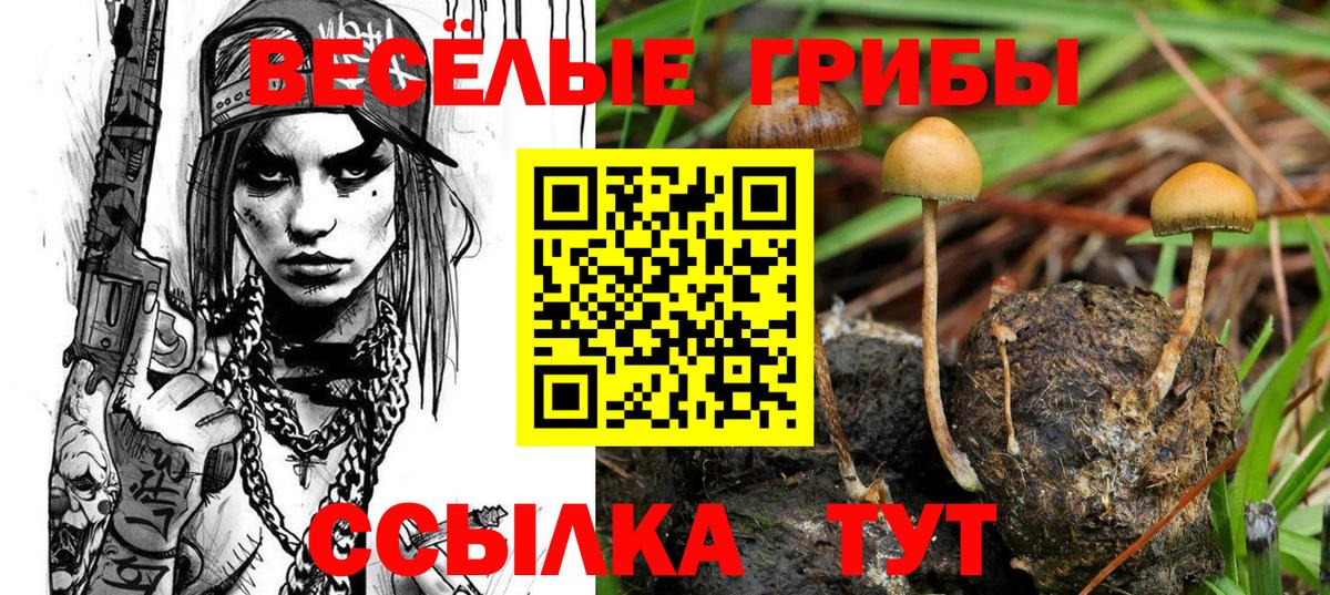 Полысаево  Псилоцибиновые грибы Cubensis  Вход с VPN 